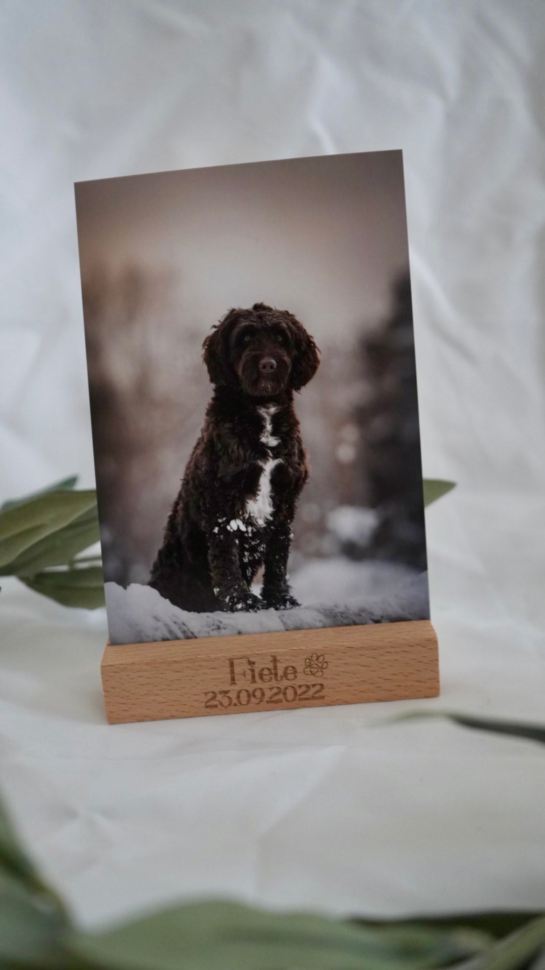 Personalisierter Fotohalter mit Name und Geburtsdatum - Bild von Labradoodle