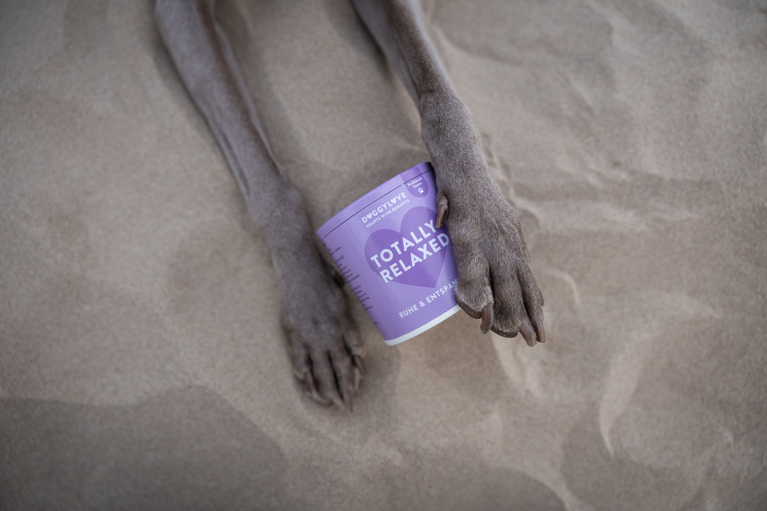 Doggy Love - Totally Relaxed